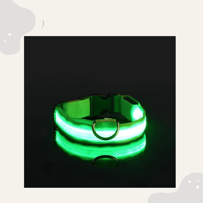 LED Leuchthalsband für Hunde & Katzen – USB aufladbar, 3 Lichtmodi
