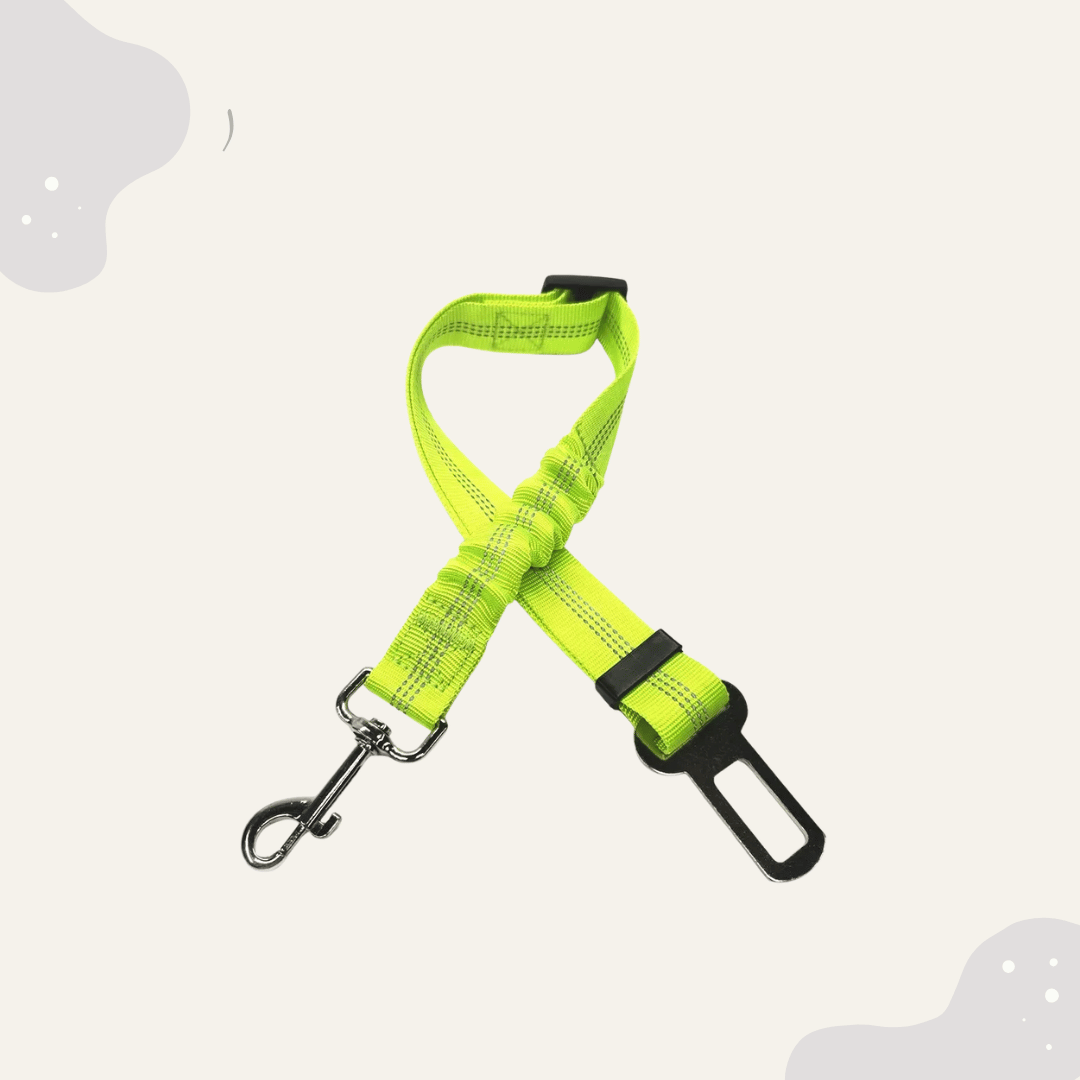 Hundegurt für das Auto - verstellbar