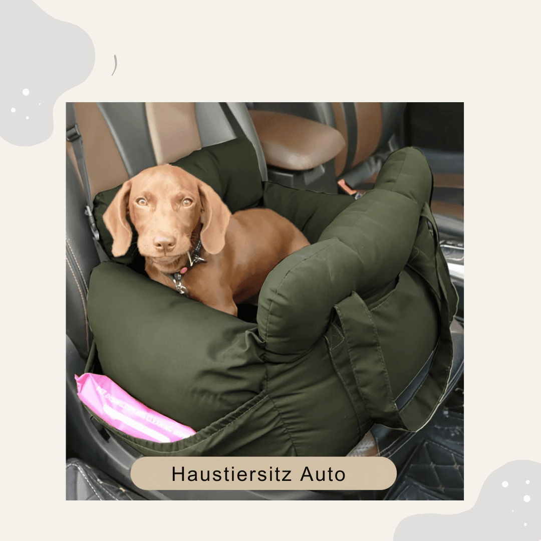 2 - in - 1 Hunde Autositz & Tragetasche – Sicherer Auto Hundesitz für kleine Hunde, rutschfest & waschbar - Animoraa