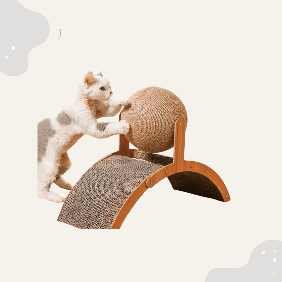 2 - in - 1 Katzenkratzspielzeug aus Holz - Animoraa