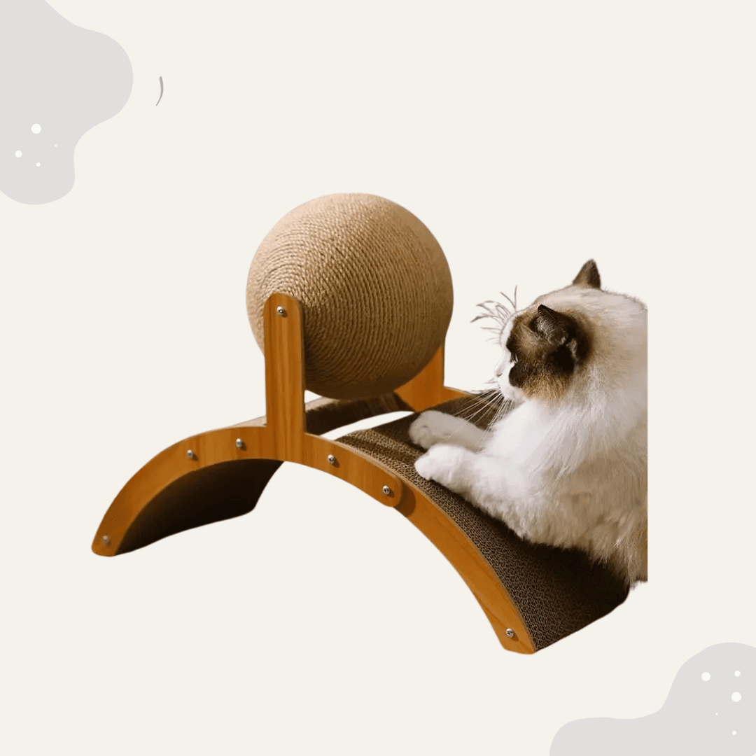 2 - in - 1 Katzenkratzspielzeug aus Holz - Animoraa