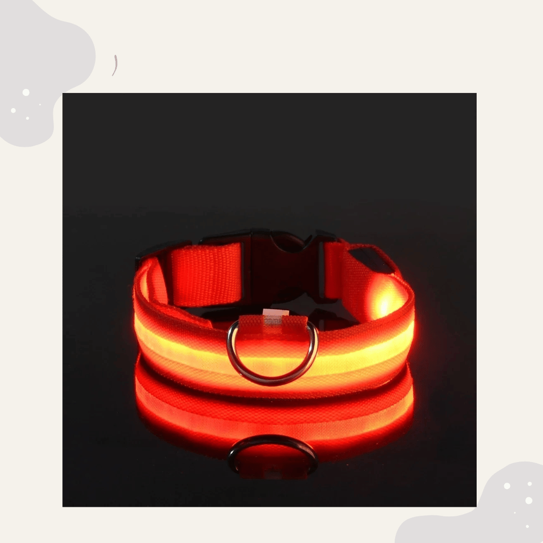 LED Leuchthalsband für Hunde & Katzen – USB aufladbar, 3 Lichtmodi