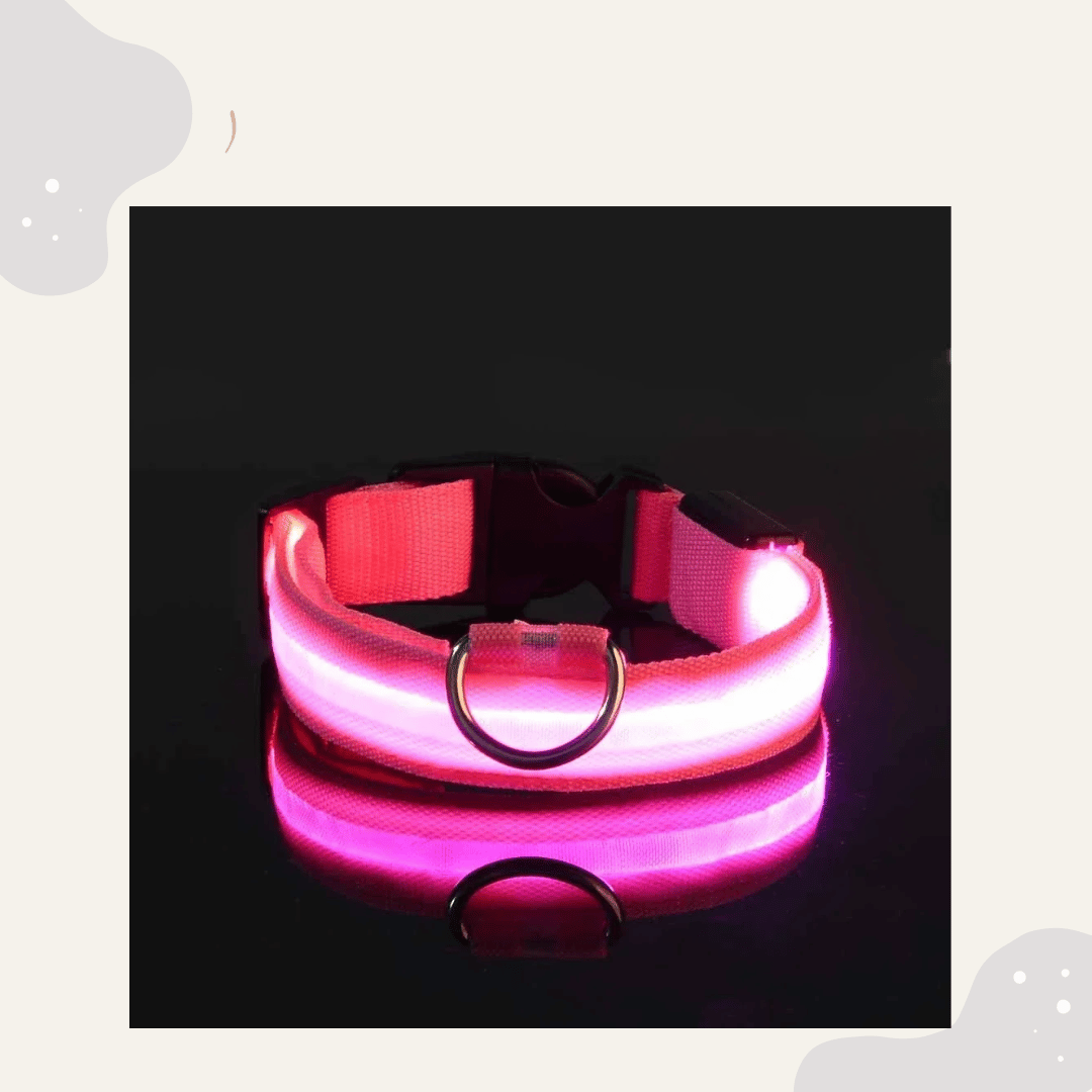 LED Leuchthalsband für Hunde & Katzen – USB aufladbar, 3 Lichtmodi