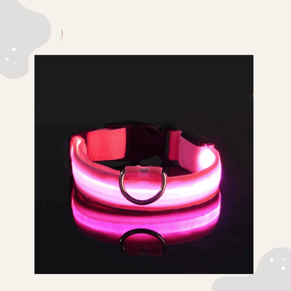 LED Leuchthalsband für Hunde & Katzen – USB aufladbar, 3 Lichtmodi