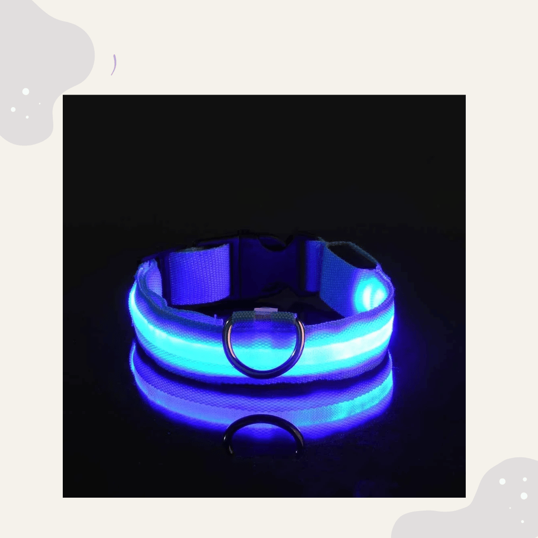 LED Leuchthalsband für Hunde & Katzen – USB aufladbar, 3 Lichtmodi