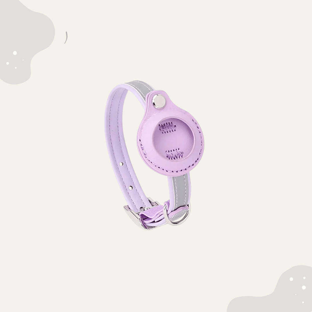 AirTag Haustier Halsband Leder - Animoraa