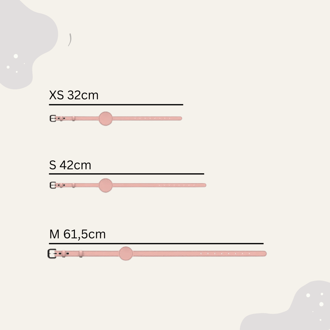 Airtag kompatibles Halsband für Hunde & Katzen – Verstellbar, robust & ideal für Alltag - Animoraa