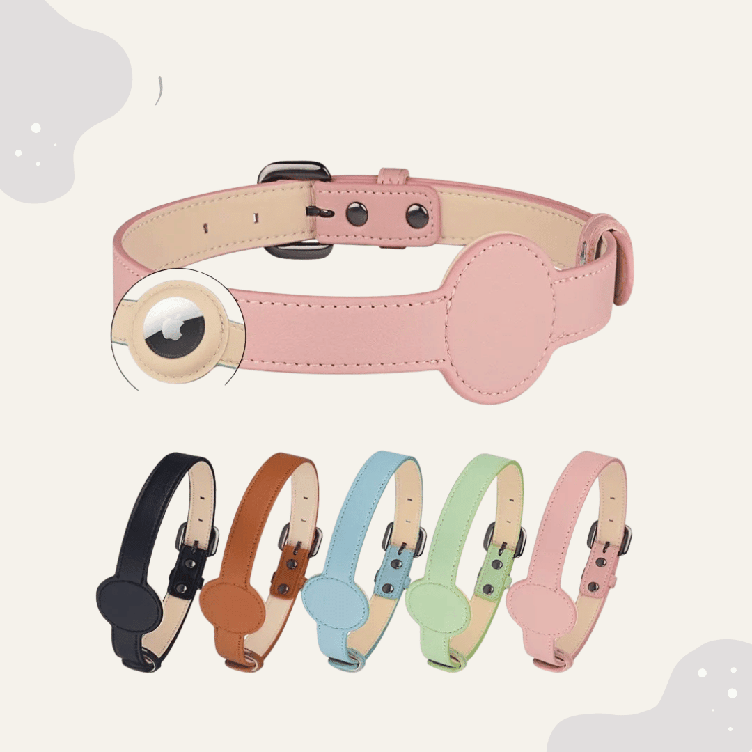 Airtag kompatibles Halsband für Hunde & Katzen – Verstellbar, robust & ideal für Alltag - Animoraa