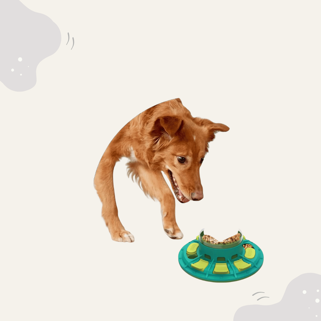 Animoraa Futterspielzeug mit Kratzbrett – 3in1 Intelligenzspielzeug für Hunde - Animoraa
