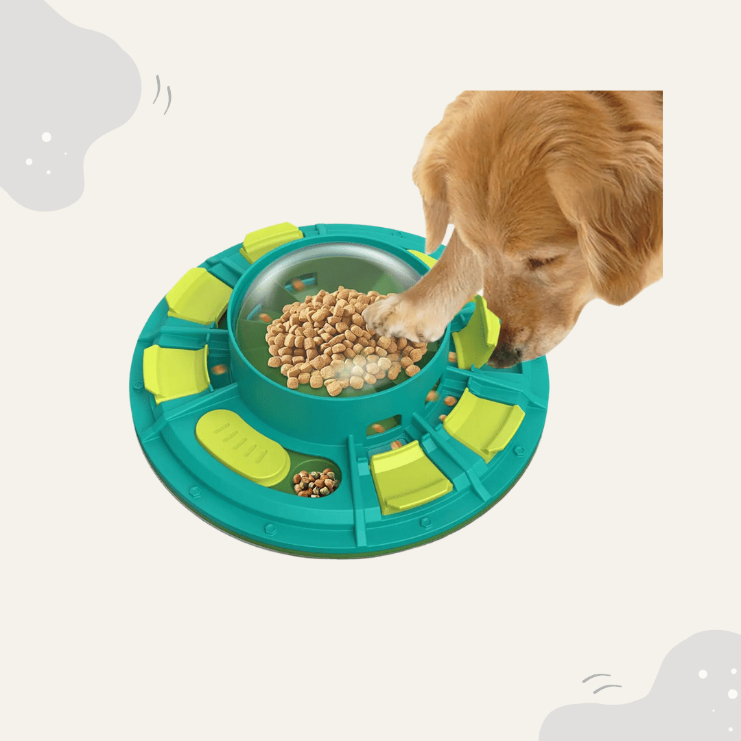 Animoraa Futterspielzeug mit Kratzbrett – 3in1 Intelligenzspielzeug für Hunde - Animoraa