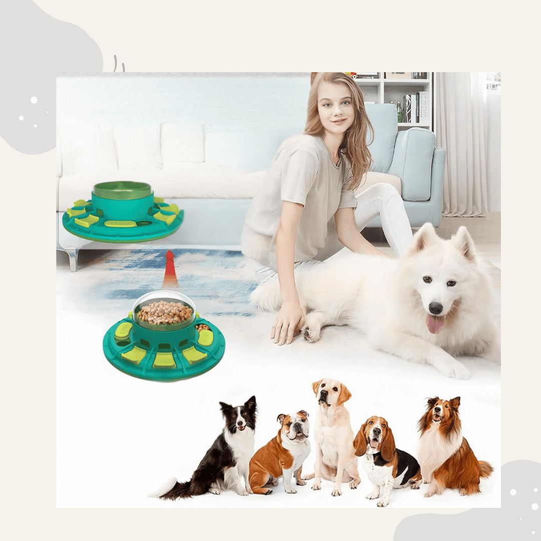 Animoraa Futterspielzeug mit Kratzbrett – 3in1 Intelligenzspielzeug für Hunde - Animoraa
