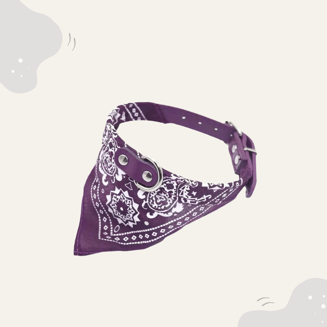 Animoraa Haustier Halsband mit Halstuch - Animoraa
