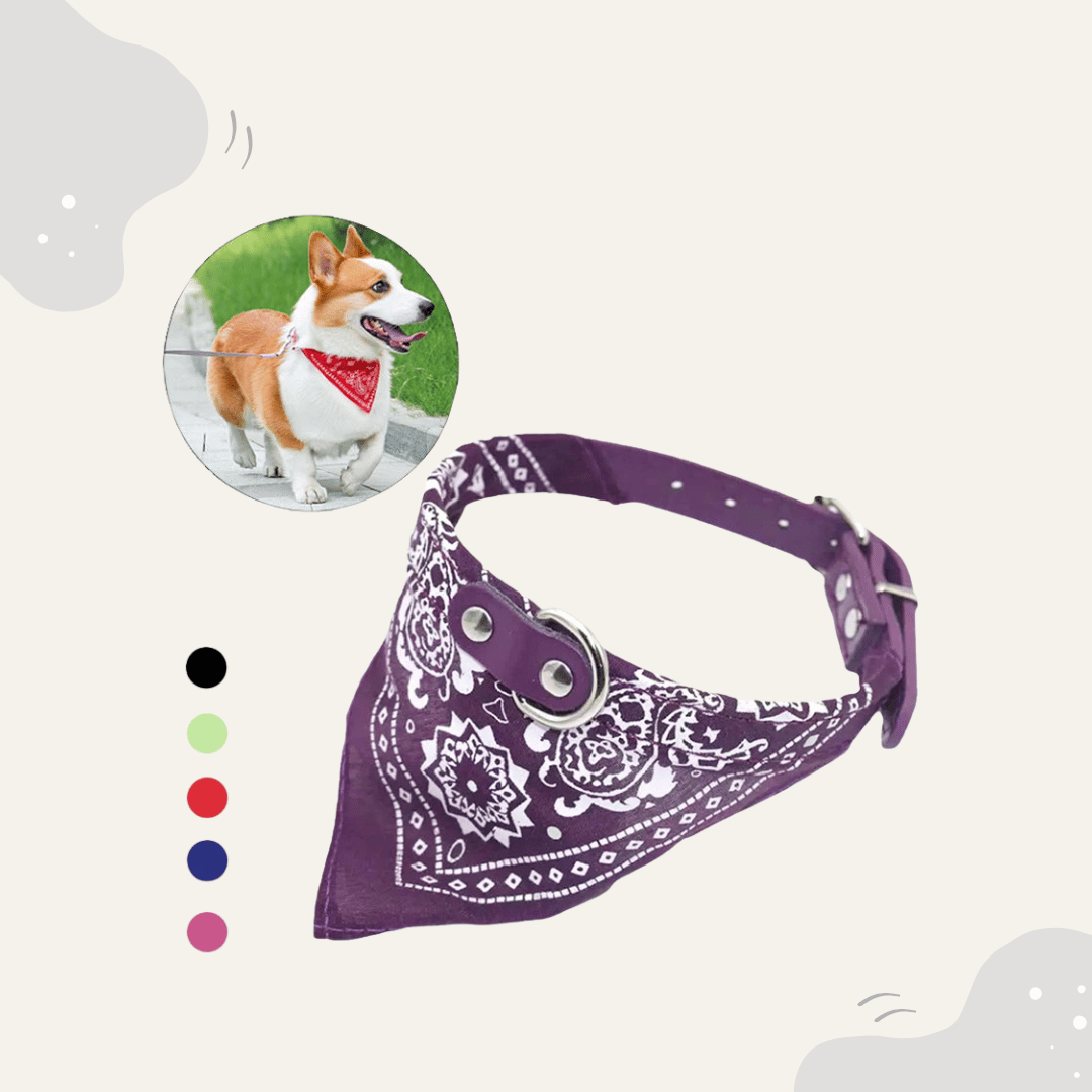 Animoraa Haustier Halsband mit Halstuch - Animoraa