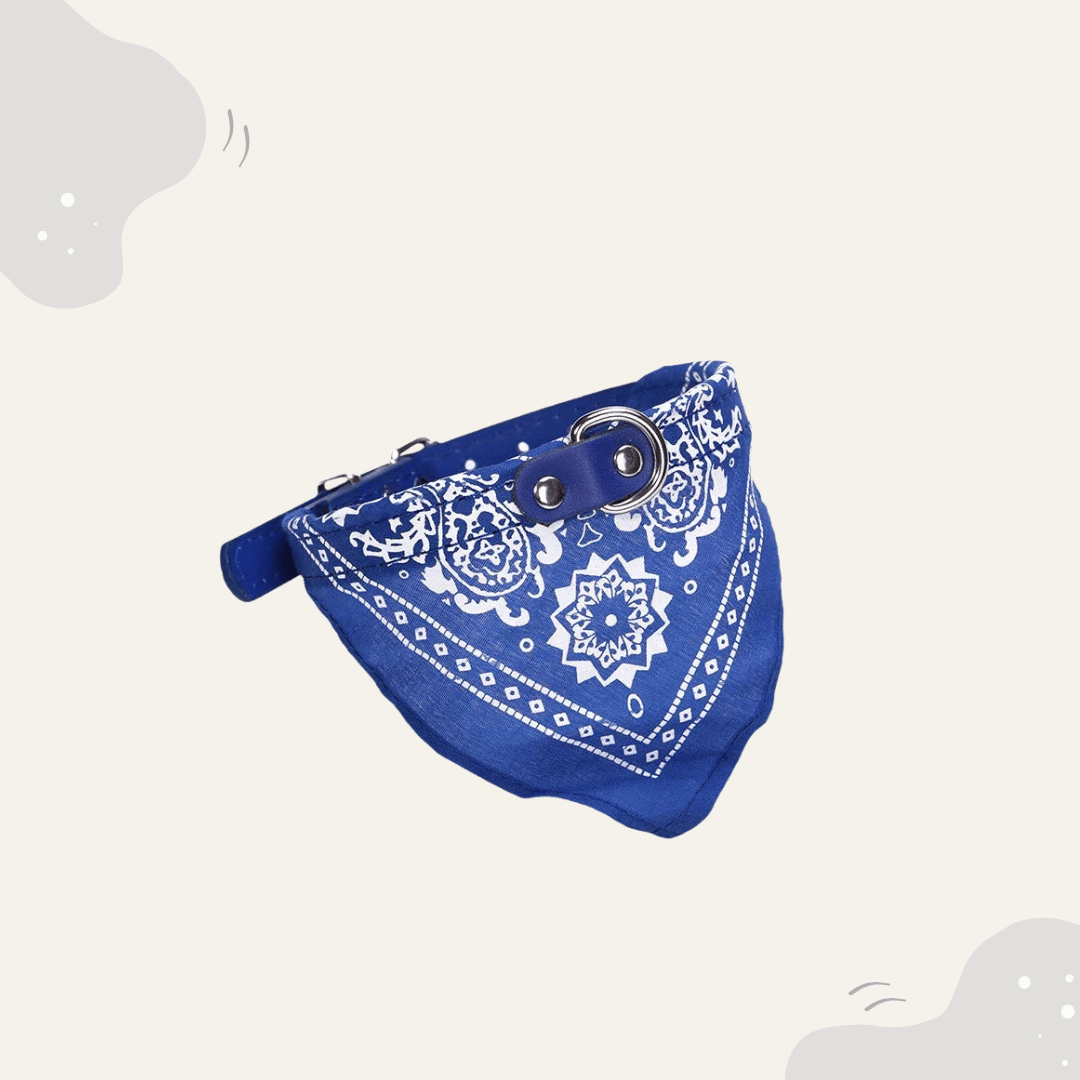 Animoraa Haustier Halsband mit Halstuch - Animoraa
