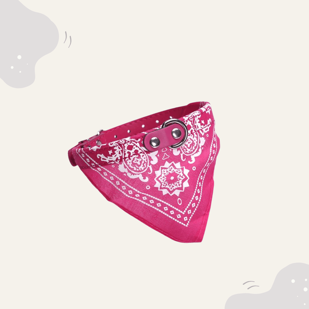 Animoraa Haustier Halsband mit Halstuch - Animoraa