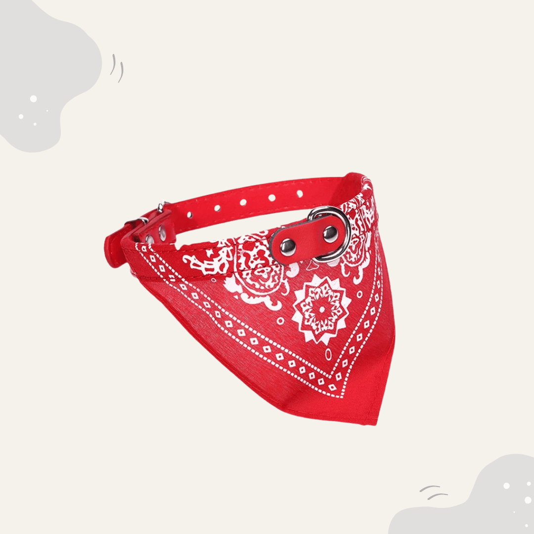 Animoraa Haustier Halsband mit Halstuch - Animoraa