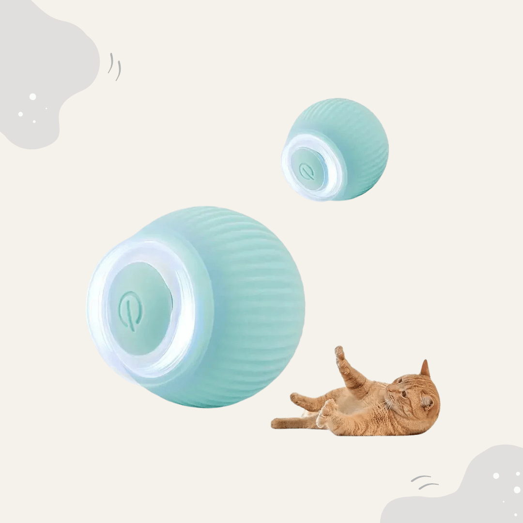Animoraa Interaktives Katzenballspiel - Animoraa