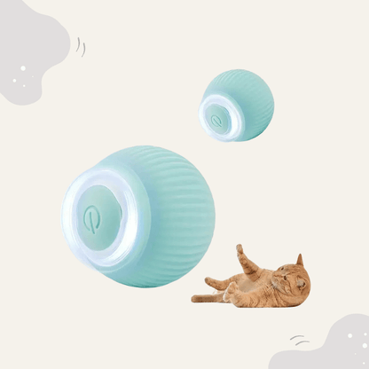Animoraa Interaktives Katzenballspiel - Animoraa