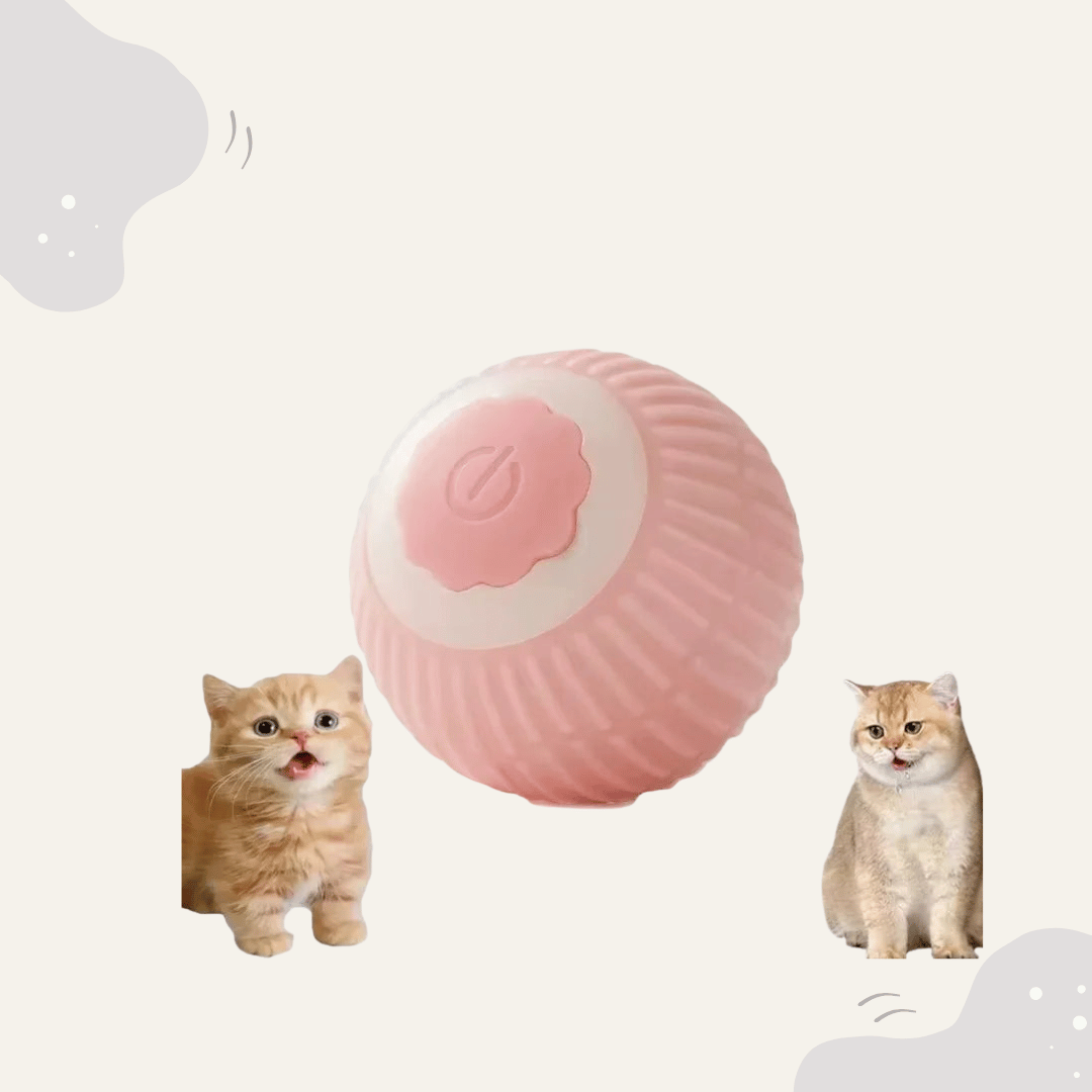 Animoraa Interaktives Katzenballspiel - Animoraa