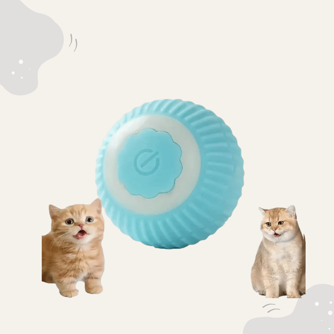 Animoraa Interaktives Katzenballspiel - Animoraa