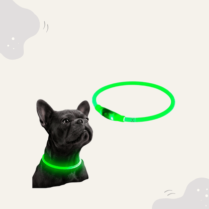 Animoraa LED Hundehalsband Leuchtend - Animoraa