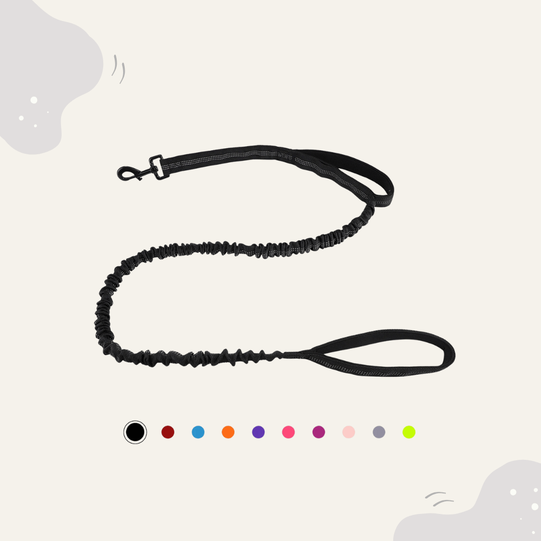 Animoraa Trainingsleine mit Zugdämpfer - Animoraa