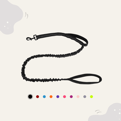 Animoraa Trainingsleine mit Zugdämpfer - Animoraa