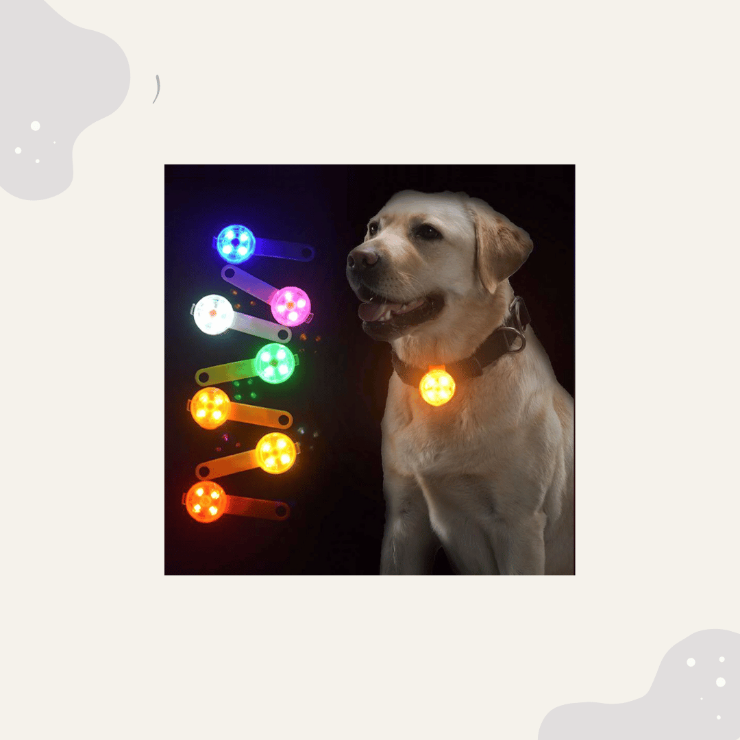 Anti - Verlust Halsband - Animoraa