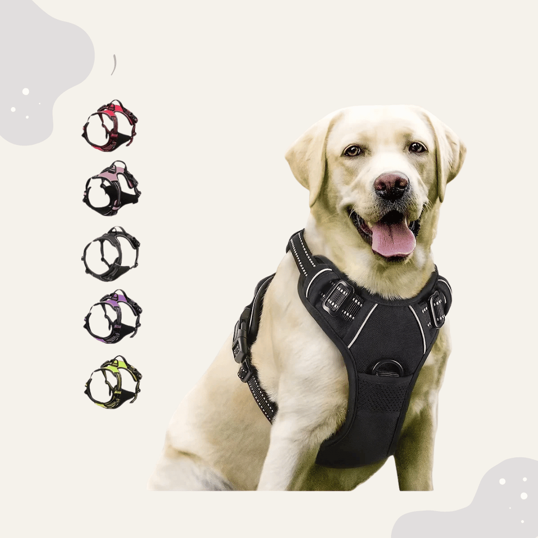 Anti - Zug Hundegeschirr mit Front - Clip – Reflektierend & stabil mit Kontrollgriff für große Hunde - Animoraa