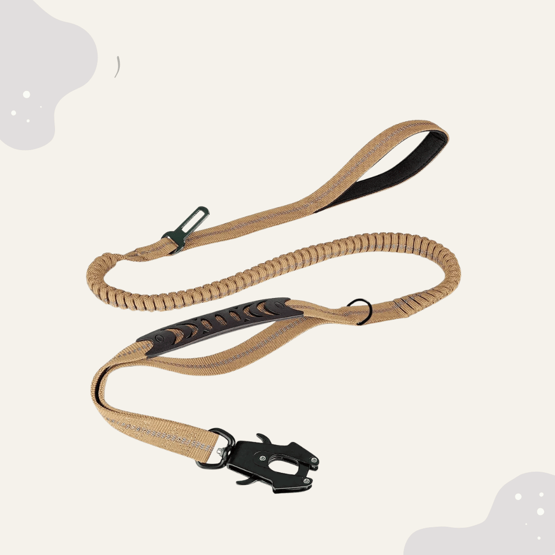 Bungee Hundeleine mit Stoßdämpfer – Reflektierende Leine gegen Ziehen inkl. Autoadapter für sichere Autofahrten - Animoraa