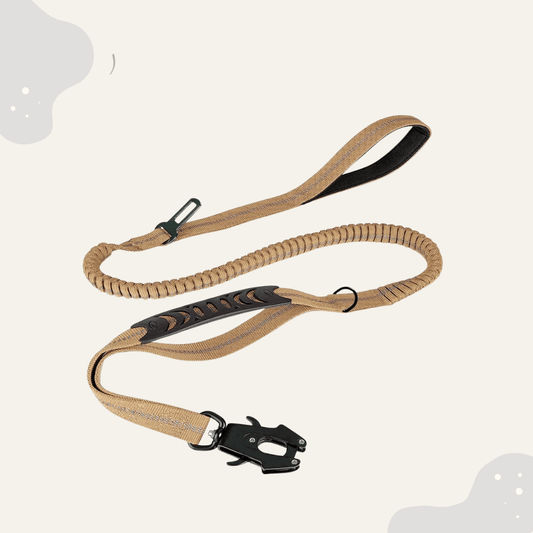 Bungee Hundeleine mit Stoßdämpfer – Reflektierende Leine gegen Ziehen inkl. Autoadapter für sichere Autofahrten - Animoraa