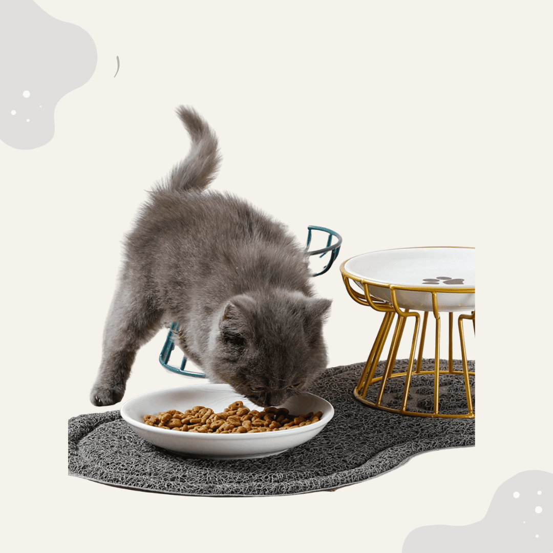 Edler Katzenfutter Napf - Animoraa