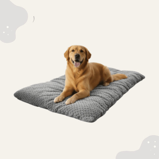 Extra großes Hundebett Plüsch in verschiedenen Größen - Animoraa