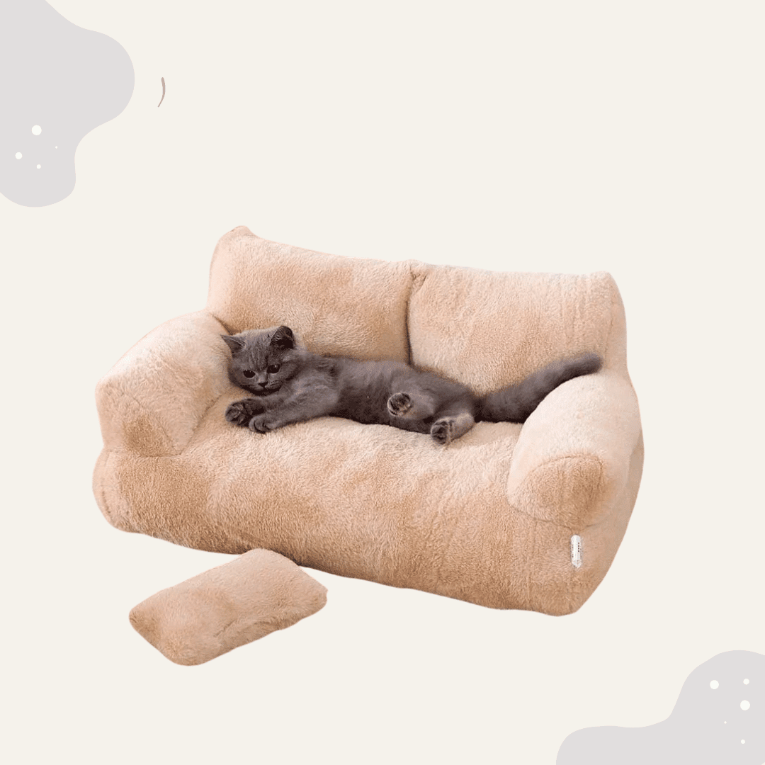Flauschige Tier Couch für Hunde & Katzen – Weiches Indoor Haustiersofa mit hohem Rand, waschbar & extra gemütlich - Animoraa