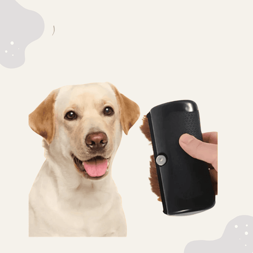 Haustier Fellpflege Bürste selbstreinigend – Für Hunde & Katzen, sanfte Massage & effektive Haarentfernung - Animoraa