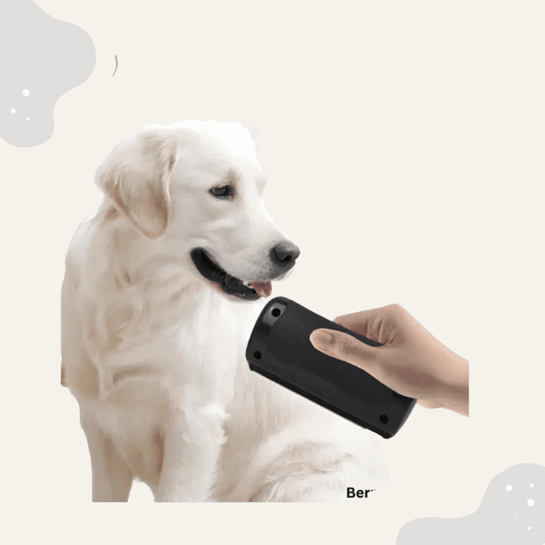 Haustier Fellpflege Bürste selbstreinigend – Für Hunde & Katzen, sanfte Massage & effektive Haarentfernung - Animoraa