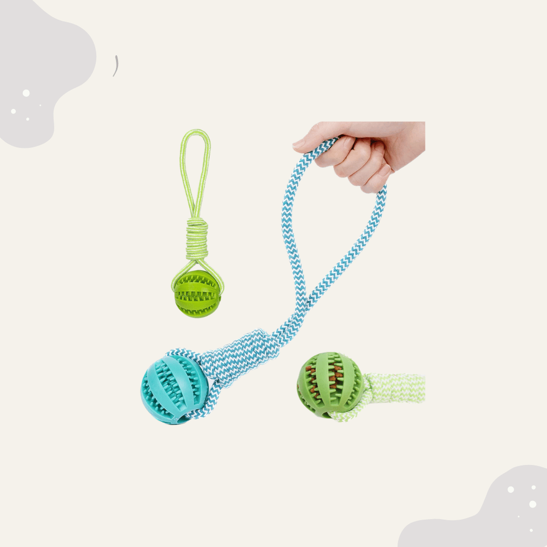 Hundeballspielzeug - Animoraa