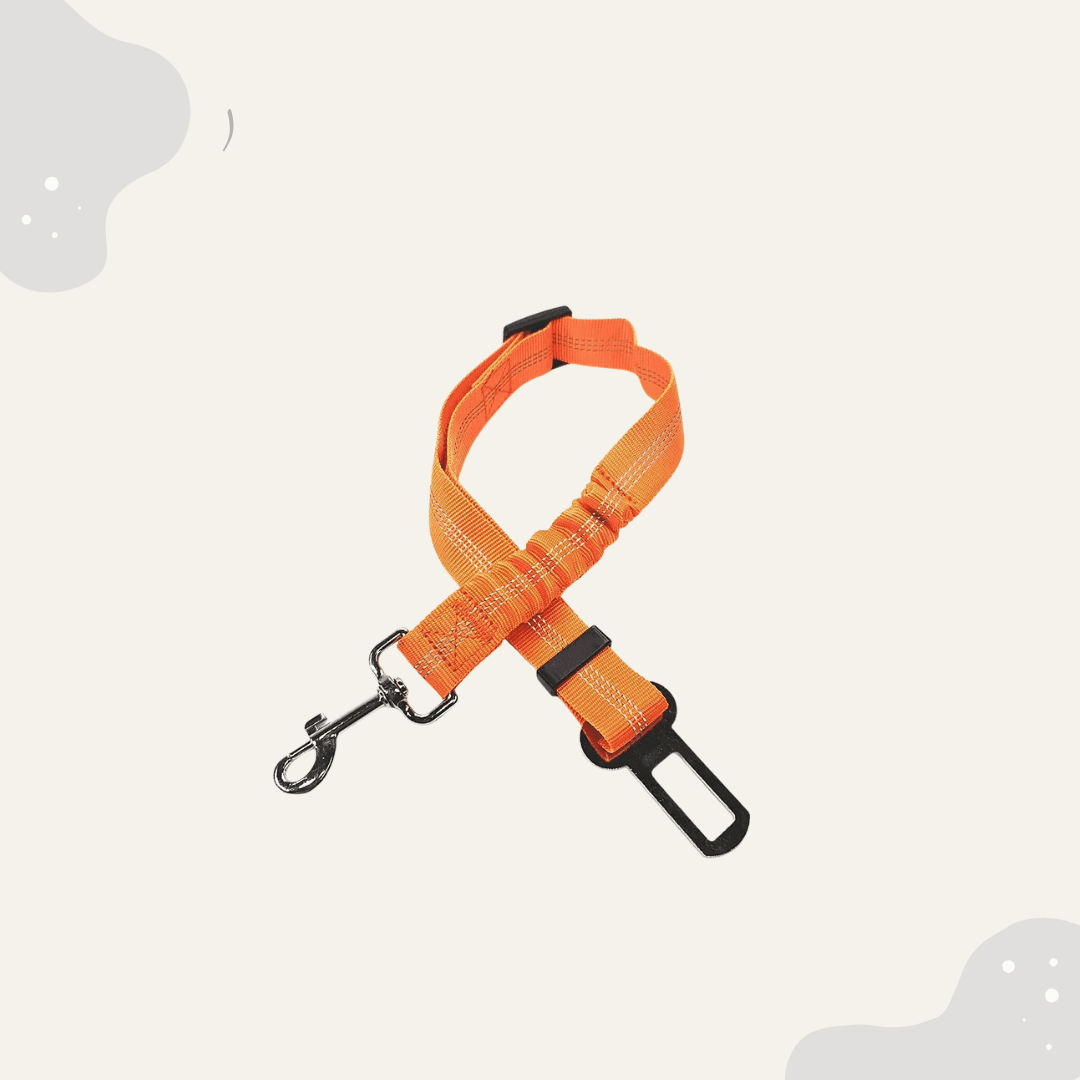 Hundegurt für das Auto - verstellbar - Animoraa