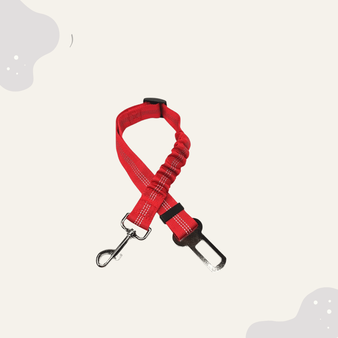 Hundegurt für das Auto - verstellbar - Animoraa
