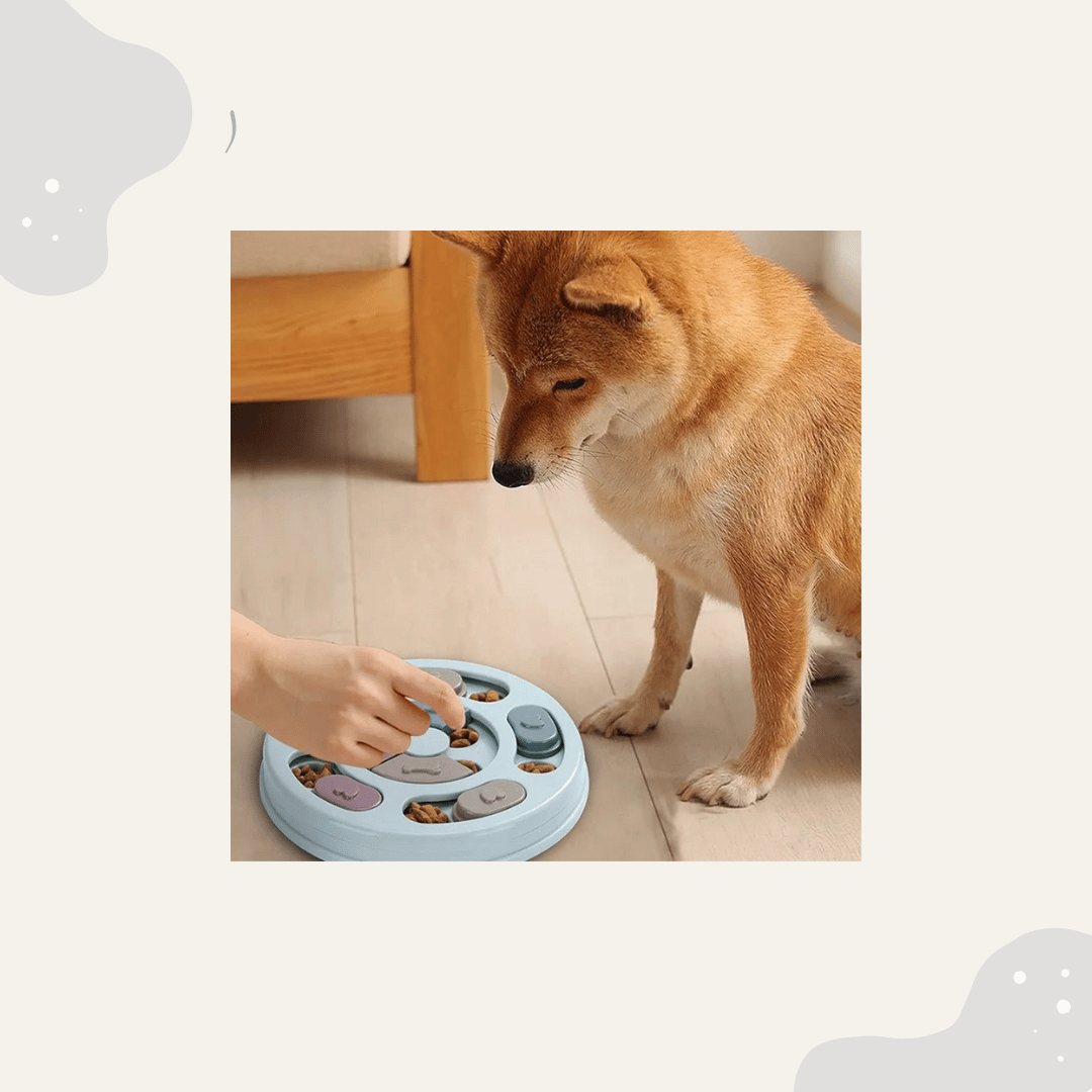 Hundespielzeug - Animoraa