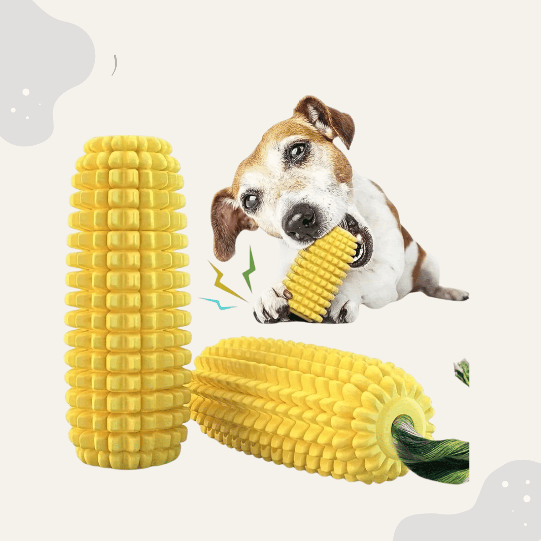 Hundespielzeug - Maiskolben - Animoraa