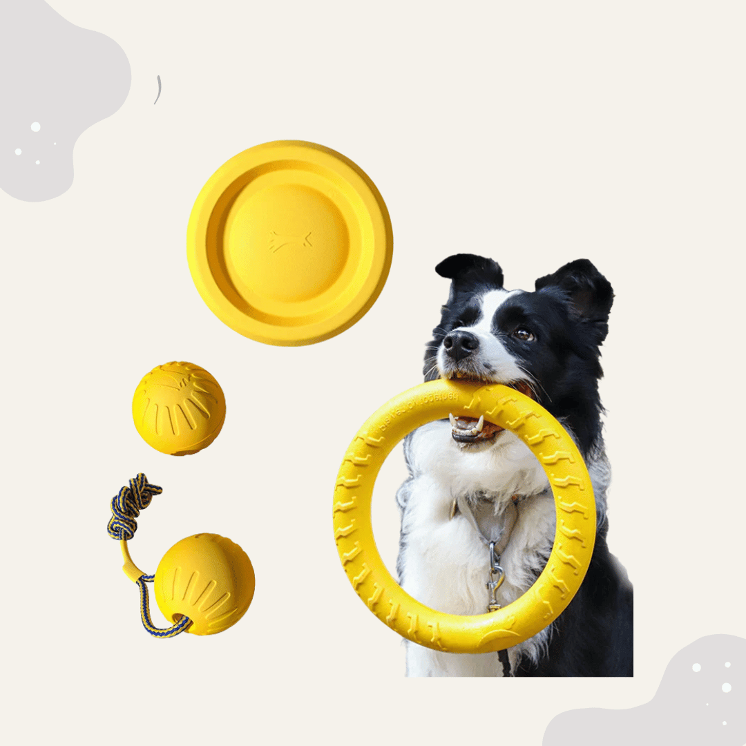 Hundespielzeug Set 4 - teilig – Robustes Kauspielzeug mit Ball, Ring & Wurfspielzeug für Training & Beschäftigung - Animoraa