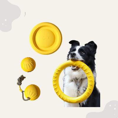 Hundespielzeug Set 4 - teilig – Robustes Kauspielzeug mit Ball, Ring & Wurfspielzeug für Training & Beschäftigung - Animoraa