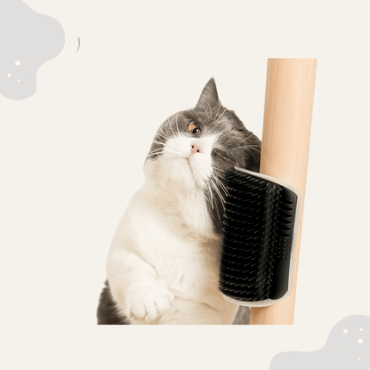 Katzen Selbstpflege Massagebürste – Wandmontierter Fellpflege zum Reiben & Wohlfühlen - Animoraa