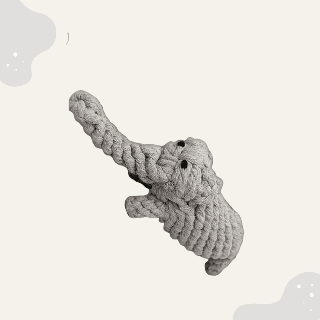 Knoten Hundespielzeug - verschiedene Varianten - Animoraa