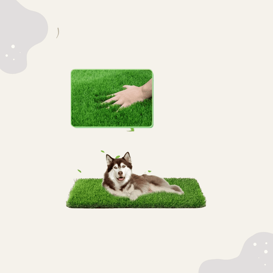 Künstliche Rasen Hundetoilette - Animoraa