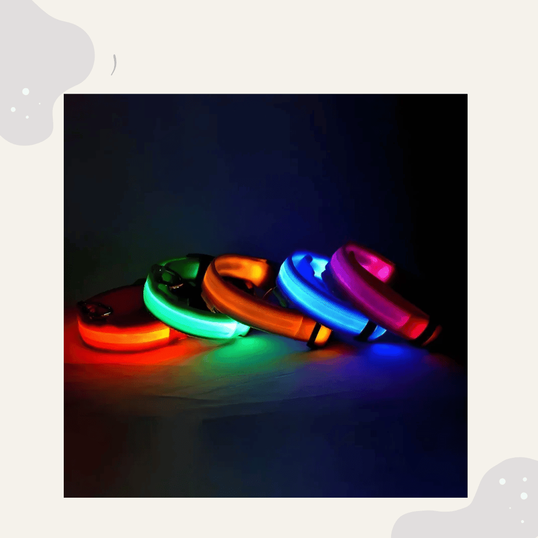 LED Leuchthalsband für Hunde & Katzen – USB aufladbar, 3 Lichtmodi - Animoraa