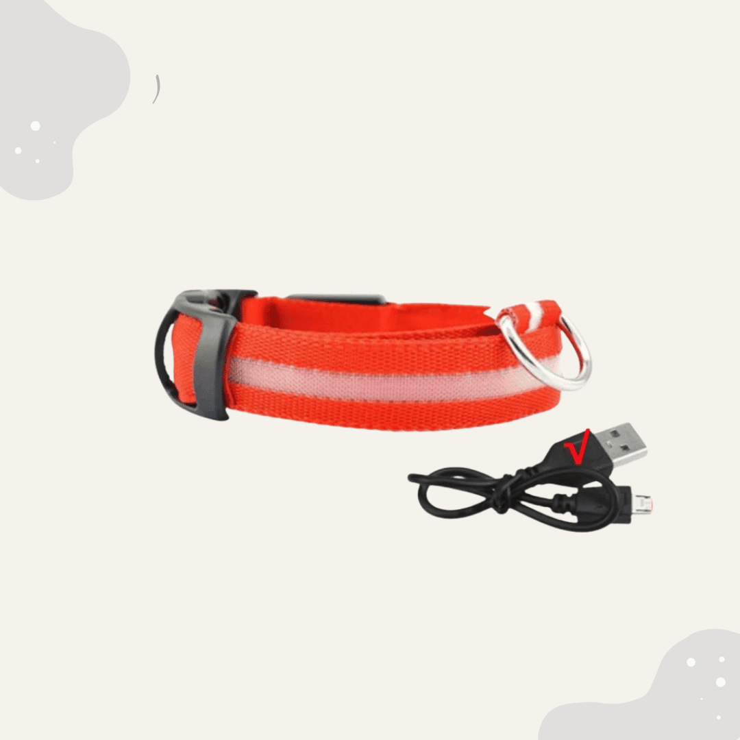 LED Leuchthalsband für Hunde & Katzen – USB aufladbar, 3 Lichtmodi - Animoraa
