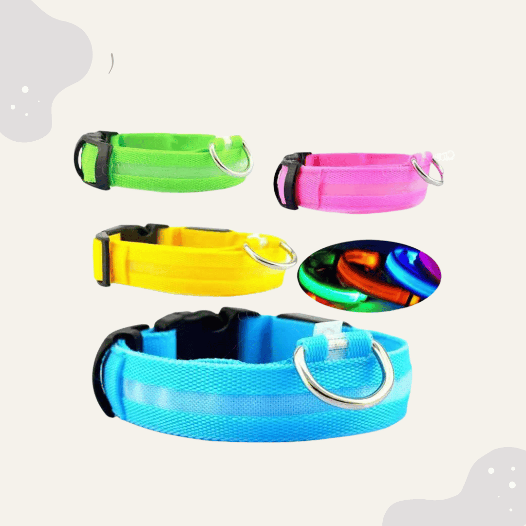 LED Leuchthalsband für Hunde & Katzen – USB aufladbar, 3 Lichtmodi - Animoraa