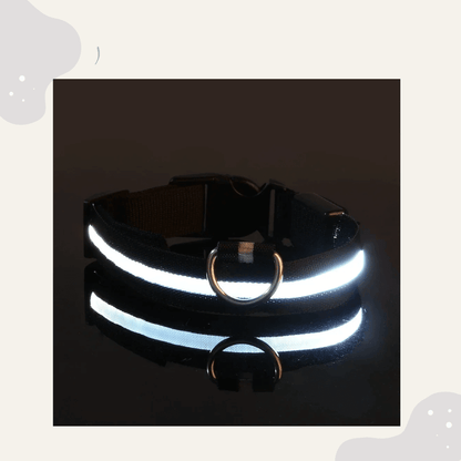 LED Leuchthalsband für Hunde & Katzen – USB aufladbar, 3 Lichtmodi - Animoraa